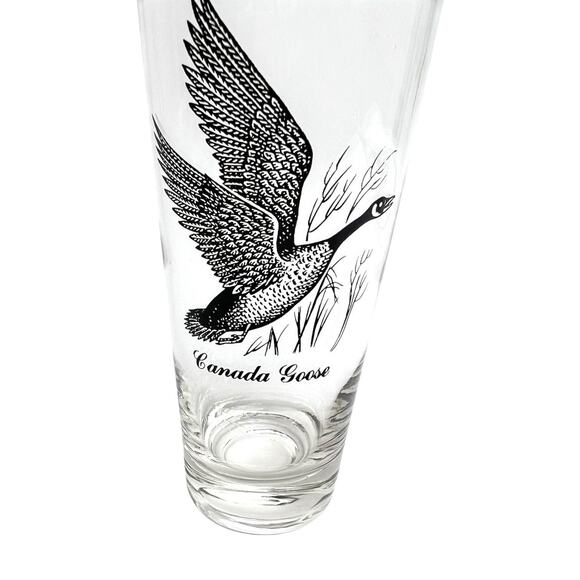 Collectible Pilsner Glass Canada Goose Silver Rim Beer Barware 6.75 Inch Tall - Picture 6 of 12